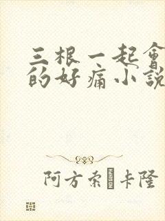 三根一起会坏掉的好痛小说