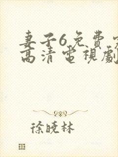 妻子6免费完整高清电视剧看