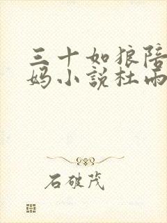 三十如狼陪读妈妈小说杜雨馨封面