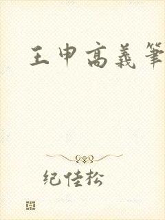 王申高义笔趣阁