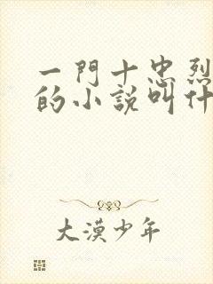 一门十忠烈叶凡的小说叫什么名字封面