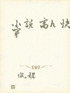 小说 高h 快穿