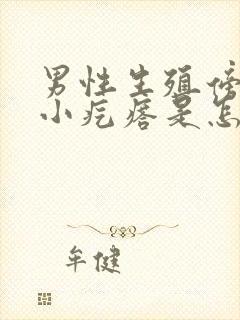 男性生殖傍边有小疙瘩是怎么回事