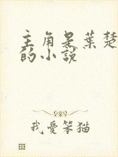 主角是叶楚姜君的小说