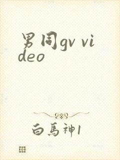 男同gv video
