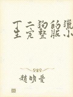 丁二狗的猎艳人生完整版小说下载