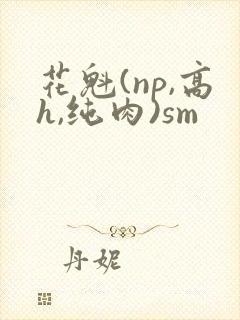 花魁(np,高h,纯肉)sm封面