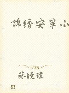 锦绣安宁小说