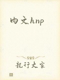 肉文hnp