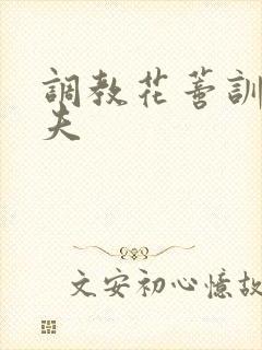 调教花蒂训诫从夫