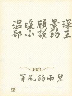 温暖顾景琛是哪部小说的主人公