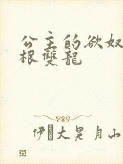 公主的欲奴h四根双龙