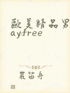 欧美精品男同gayfree