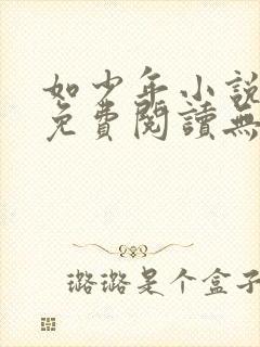 如少年小说全文免费阅读无弹窗