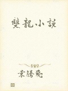 双龙小说封面