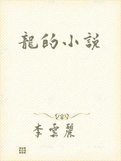 龙的小说封面
