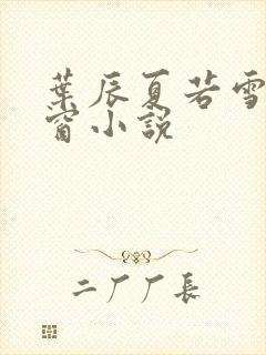 叶辰夏若雪无弹窗小说封面