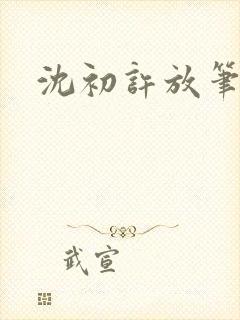 沈初许放笔趣阁