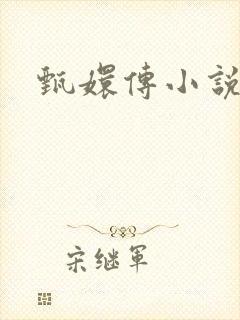 甄嬛传小说封面