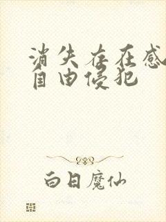 消失存在感消失自由侵犯