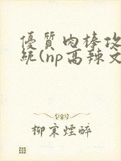 优质肉棒攻略系统(np高辣文)