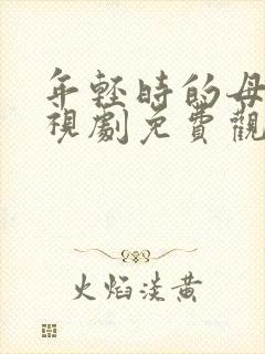 年轻时的母亲电视剧免费观看5