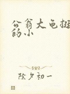 公翁大龟挺进我的小