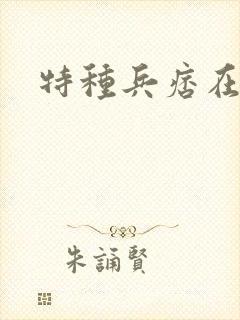 特种兵痞在都市