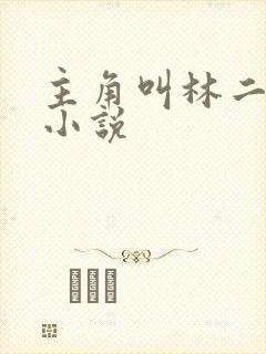 主角叫林二狗的小说