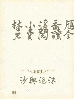 林小溪乔雁小说免费阅读全文无弹窗封面