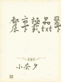 都市极品医神叶辰下载txt下载