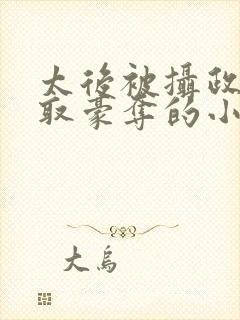 太后被摄政王强取豪夺的小说