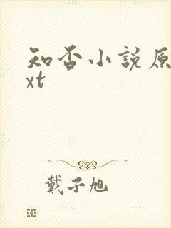 知否小说原著txt封面