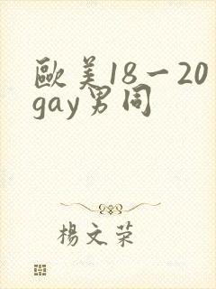 欧美18一20gay男同