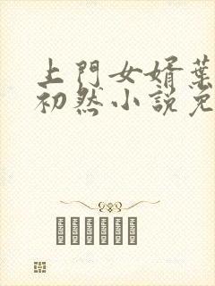 上门女婿叶辰萧初然小说免费读