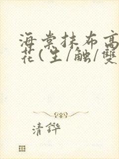 海棠抹布高岭之花(生/触/双)