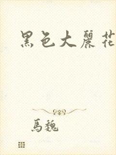 黑色大丽花图片封面