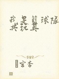 我是篮球队的公共玩具封面