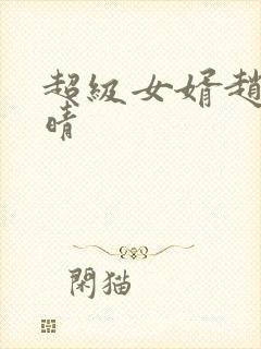 超级女婿赵旭李晴