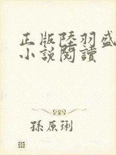 正版陆羽盛凌云小说阅读封面