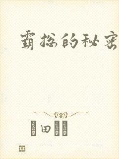 霸总的秘密教学