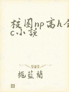 校园np高h全c小说