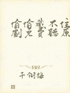 偷偷藏不住广播剧免费听原版