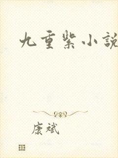 九重紫小说封面