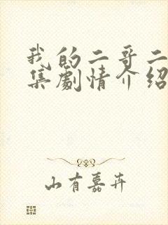 我的二哥二嫂分集剧情介绍