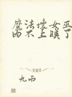 魔法坏女巫2国内不上映了吗