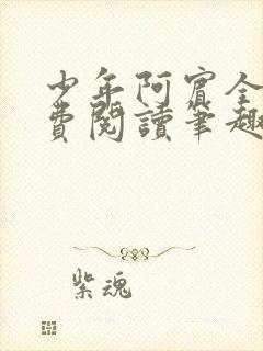 少年阿宾全文免费阅读笔趣阁