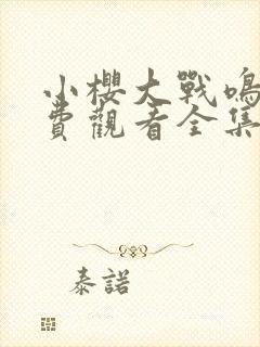 小樱大战鸣人免费观看全集动漫在线观看封面