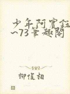 少年阿宾钰慧1~73笔趣阁
