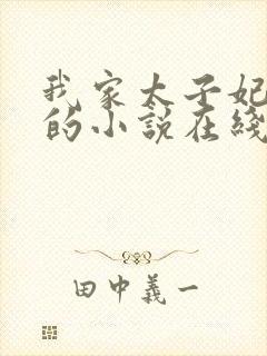 我家太子妃超凶的小说在线阅读封面